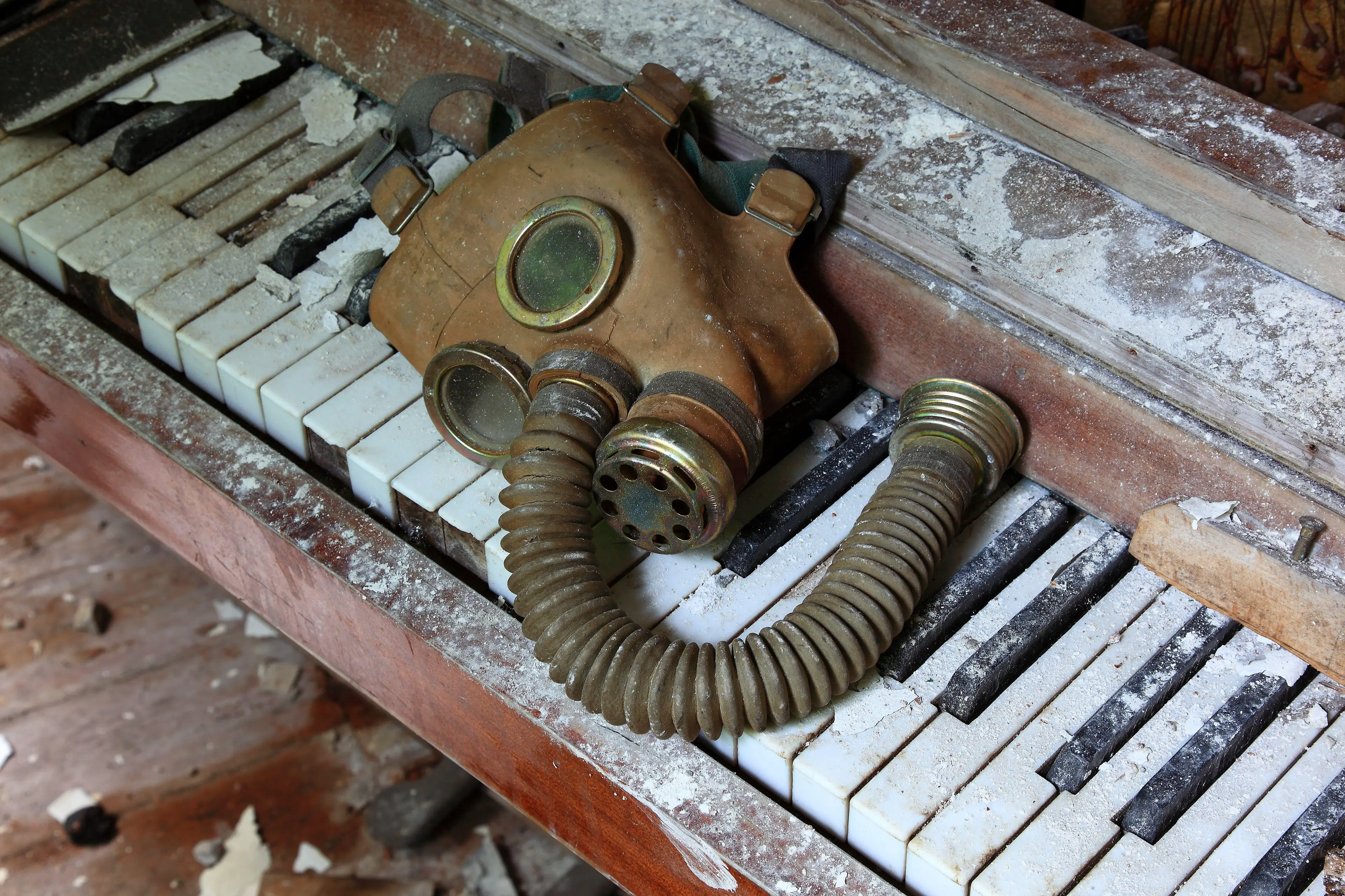 There has been growing concern about the safety of the site because of the invasion.