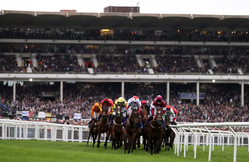 Cheltenham festival is one of the biggest days in the horse racing calendar (Michael Steele/Getty Images)