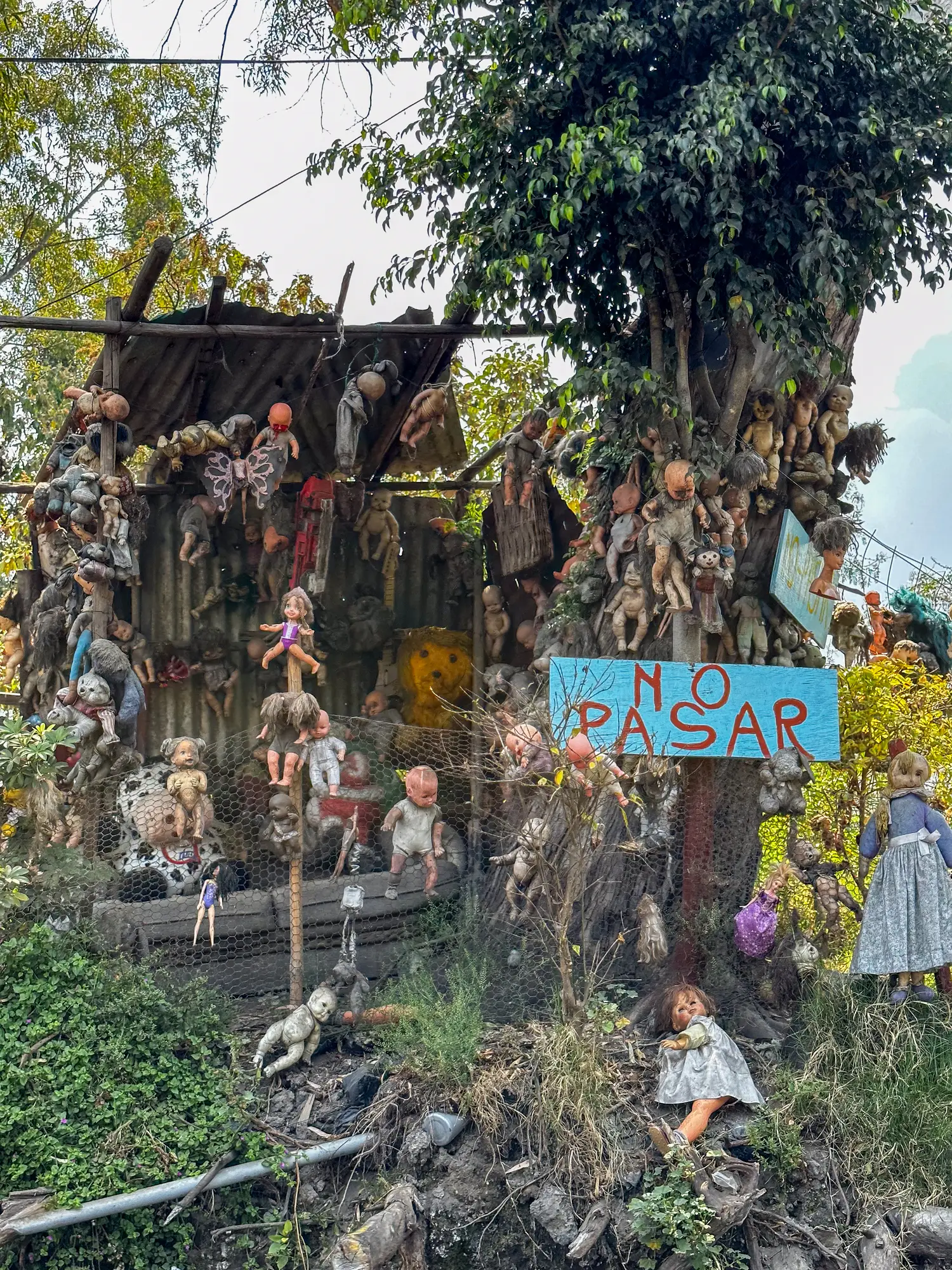 The island of the dolls in Xochimilco Mexico City (Getty Images)