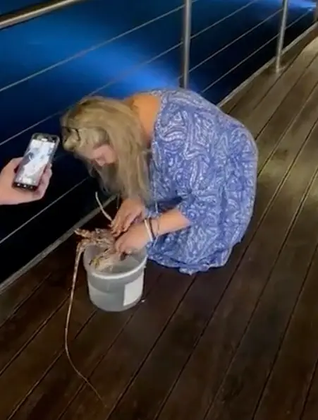 The woman threw the lobster back into the sea.