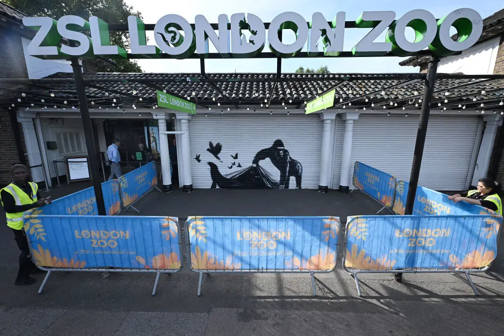 The most recent Banksy has appeared at London Zoo (Leon Neal/Getty Images)