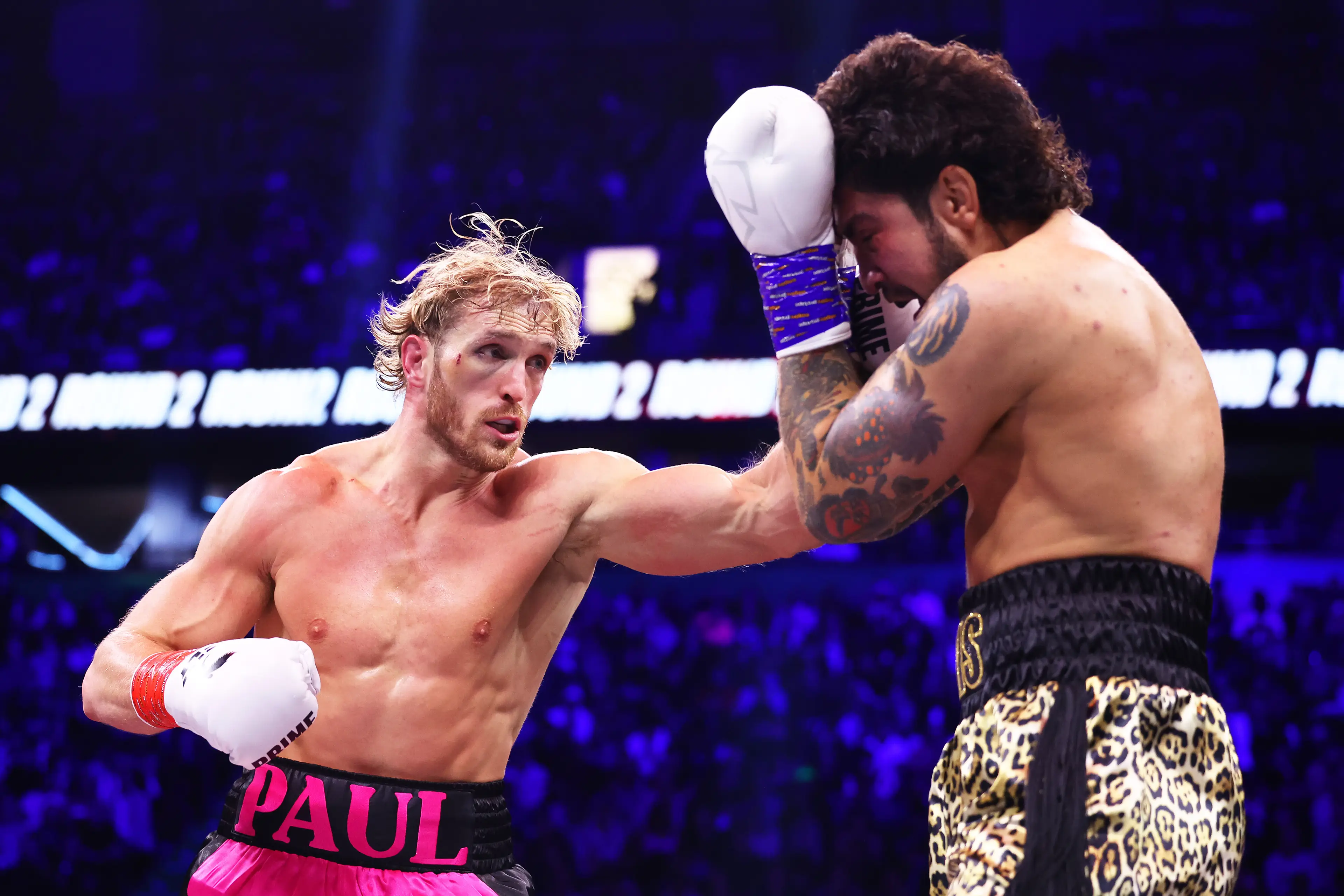 Logan Paul was very comfortable in his disqualification win over Dillon Danis on Saturday.