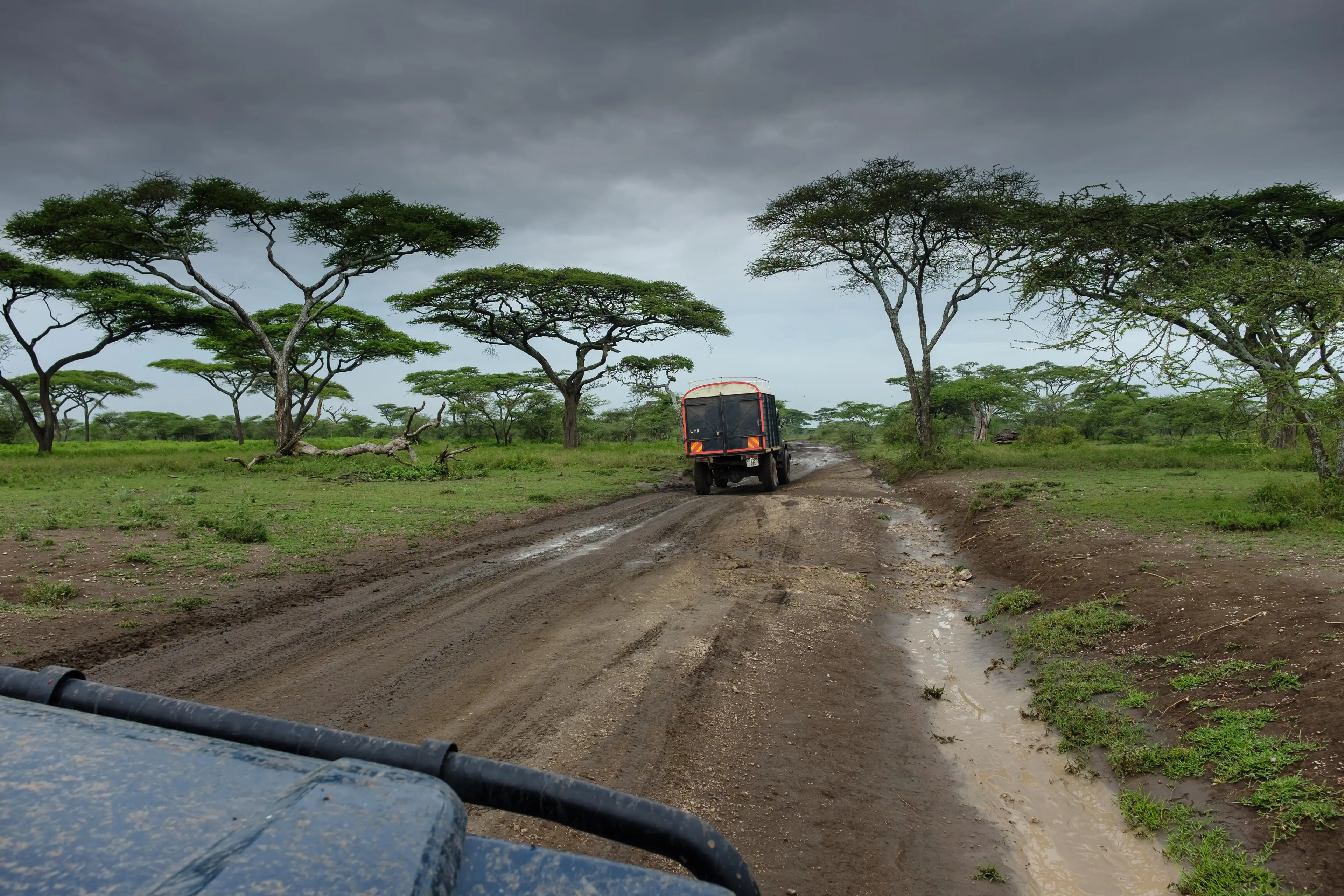 El Niño causes extreme weather and unseasonable weather around the world.