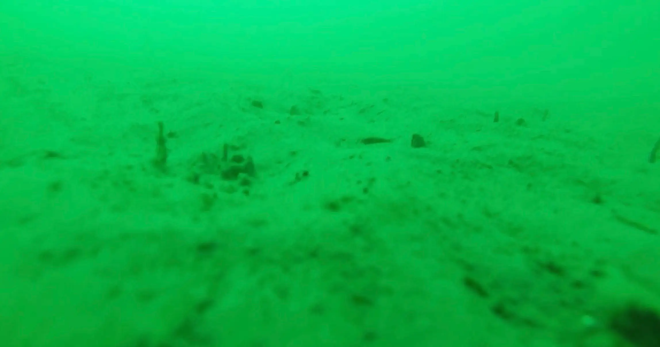 The lack of activity below the surface left a lot of viewers terrified (YouTube/@alexis3030303030)