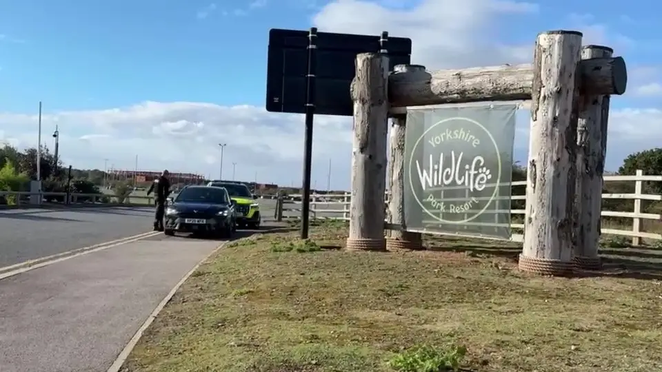 Yorkshire Wildlife Park has confirmed that Altai the tiger won't be put down (SWNS)