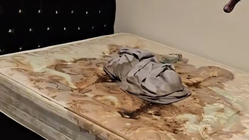 TikTok/Homelea.stays