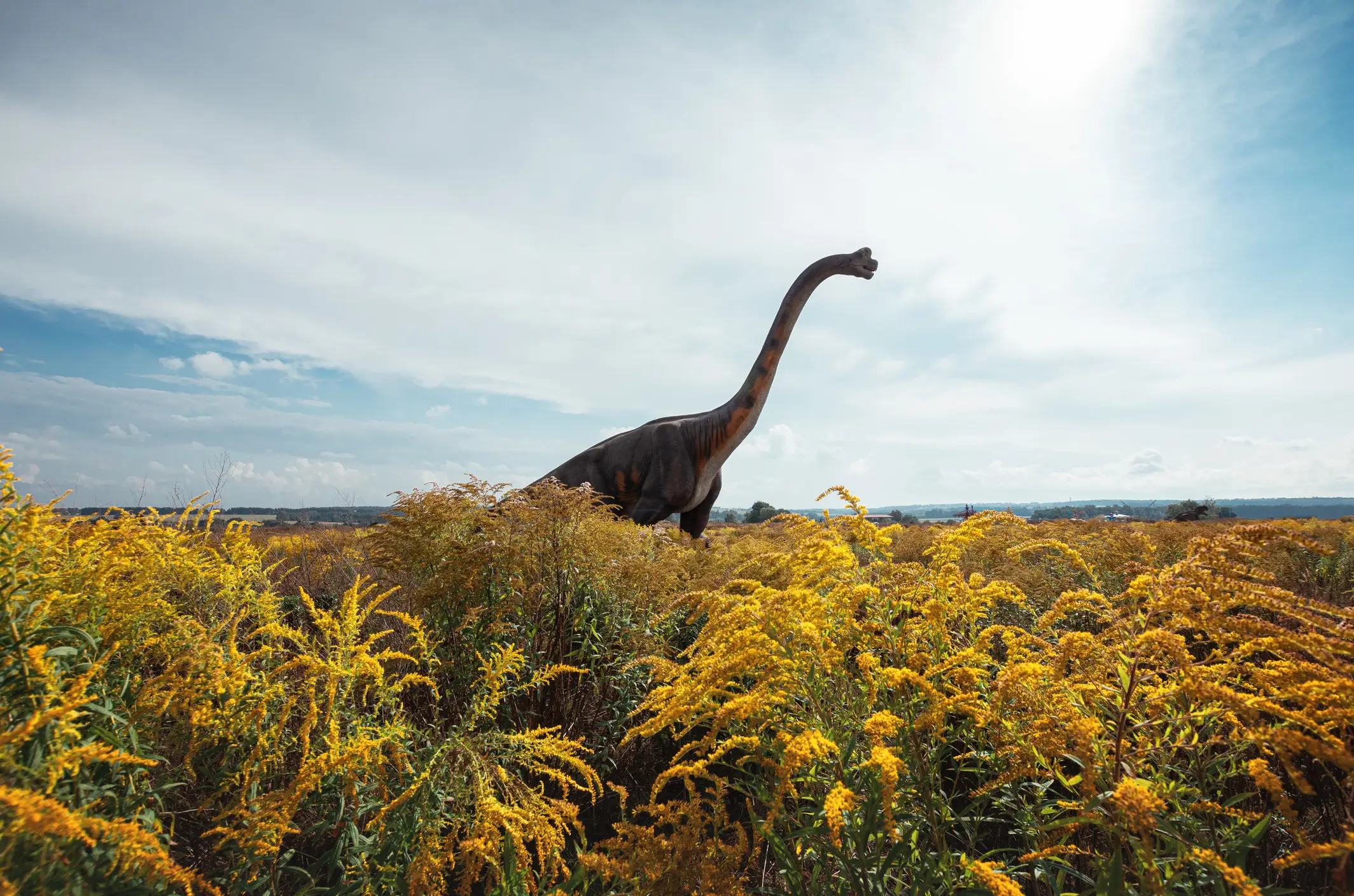 It's believed the asteroid wiped out the dinosaurs (Getty Stock Image)