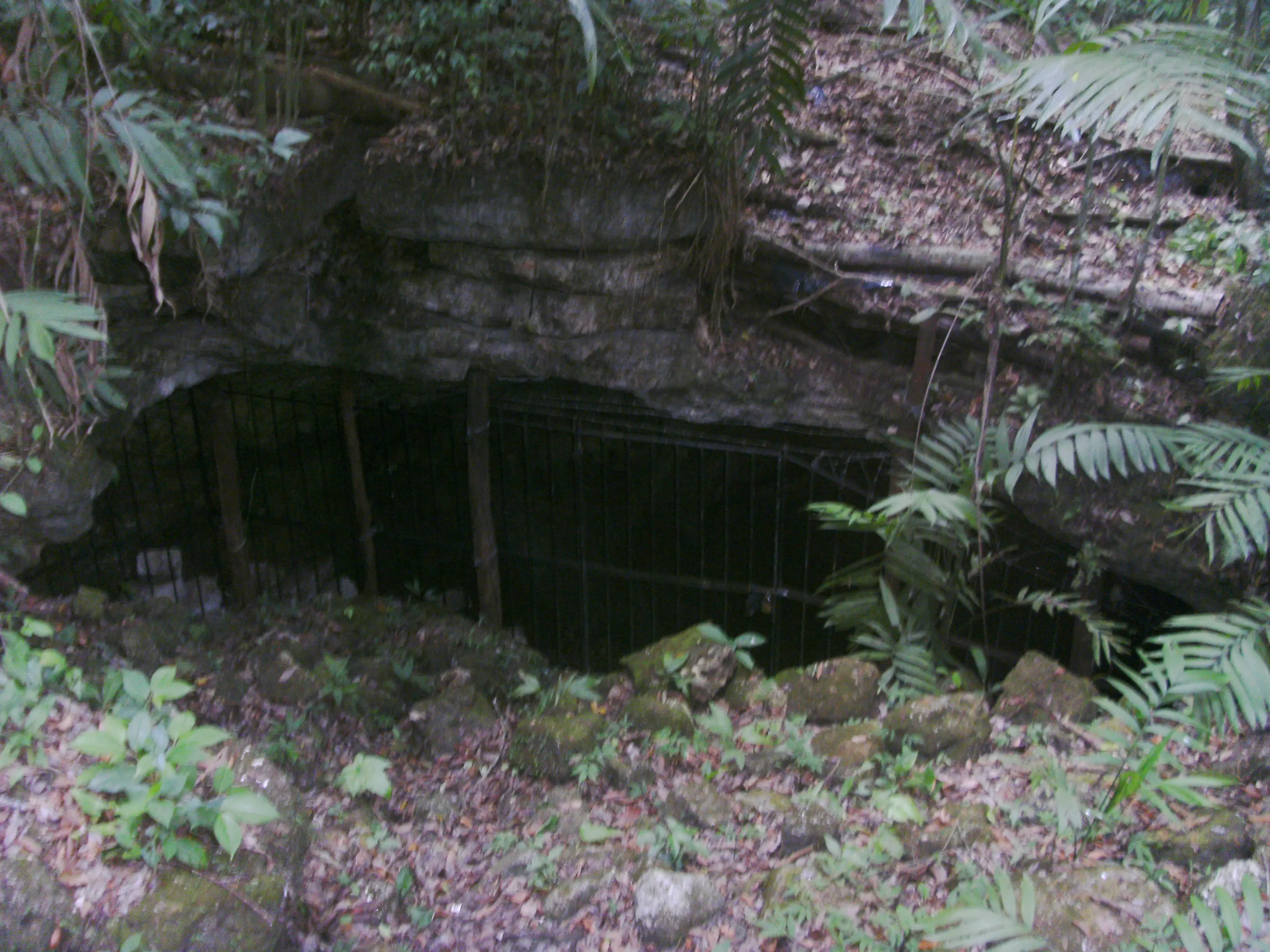 An entrance to one of the caves at the archaeological site (Wikimedia Commons/Noche de la pena CC BY-SA 3.0)