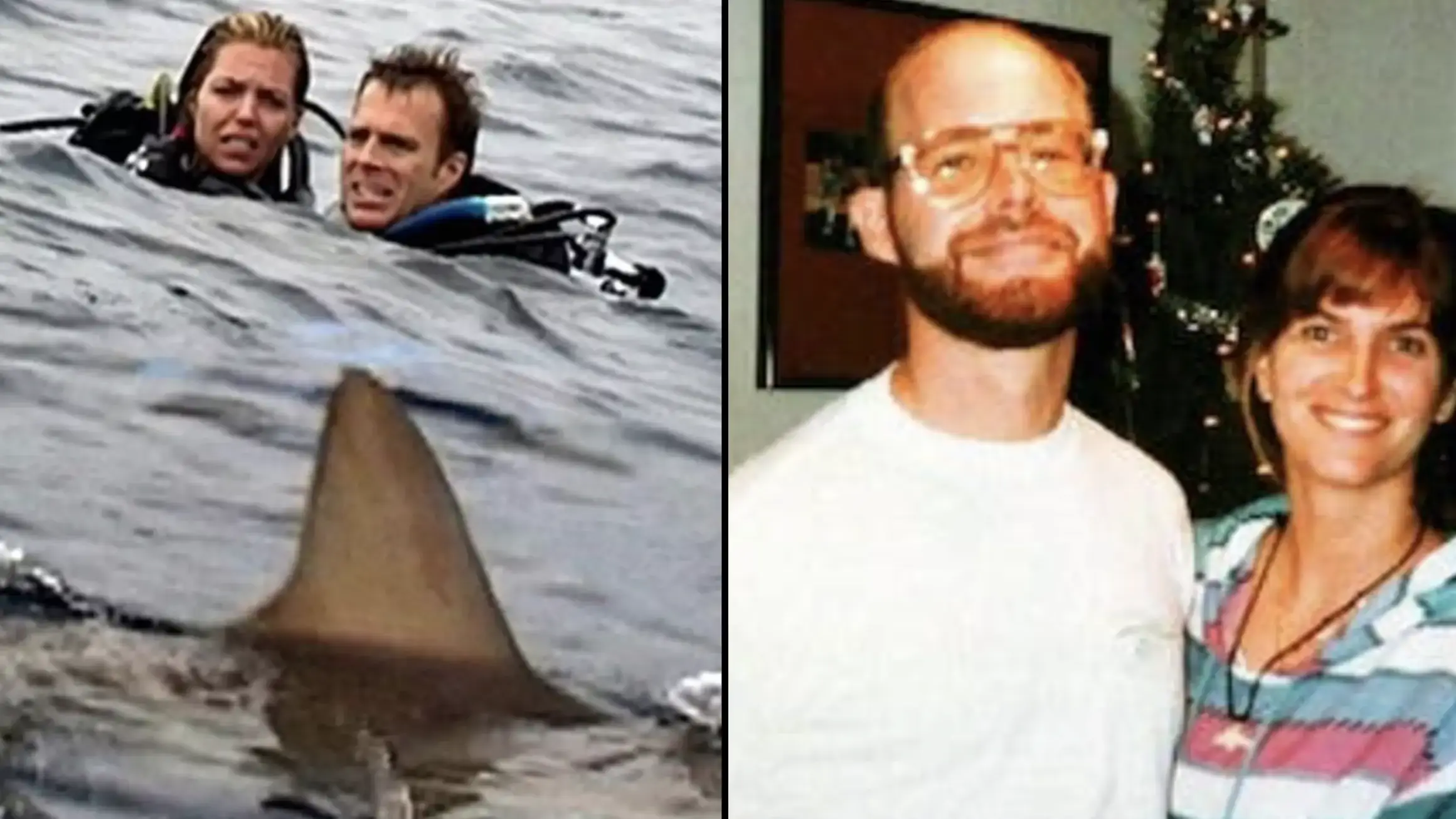 Lions Gate Films / Tom and Eileen Lonergan