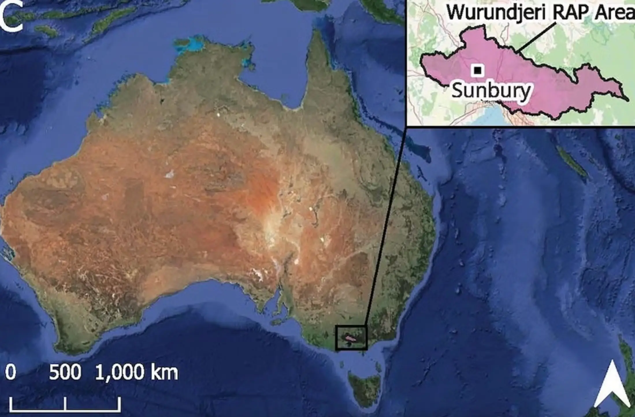 Many rings were found in Australia, though some have been discovered in the UK and Cambodia as well (Caroline Spry et al., Australian Archaeology (2025))