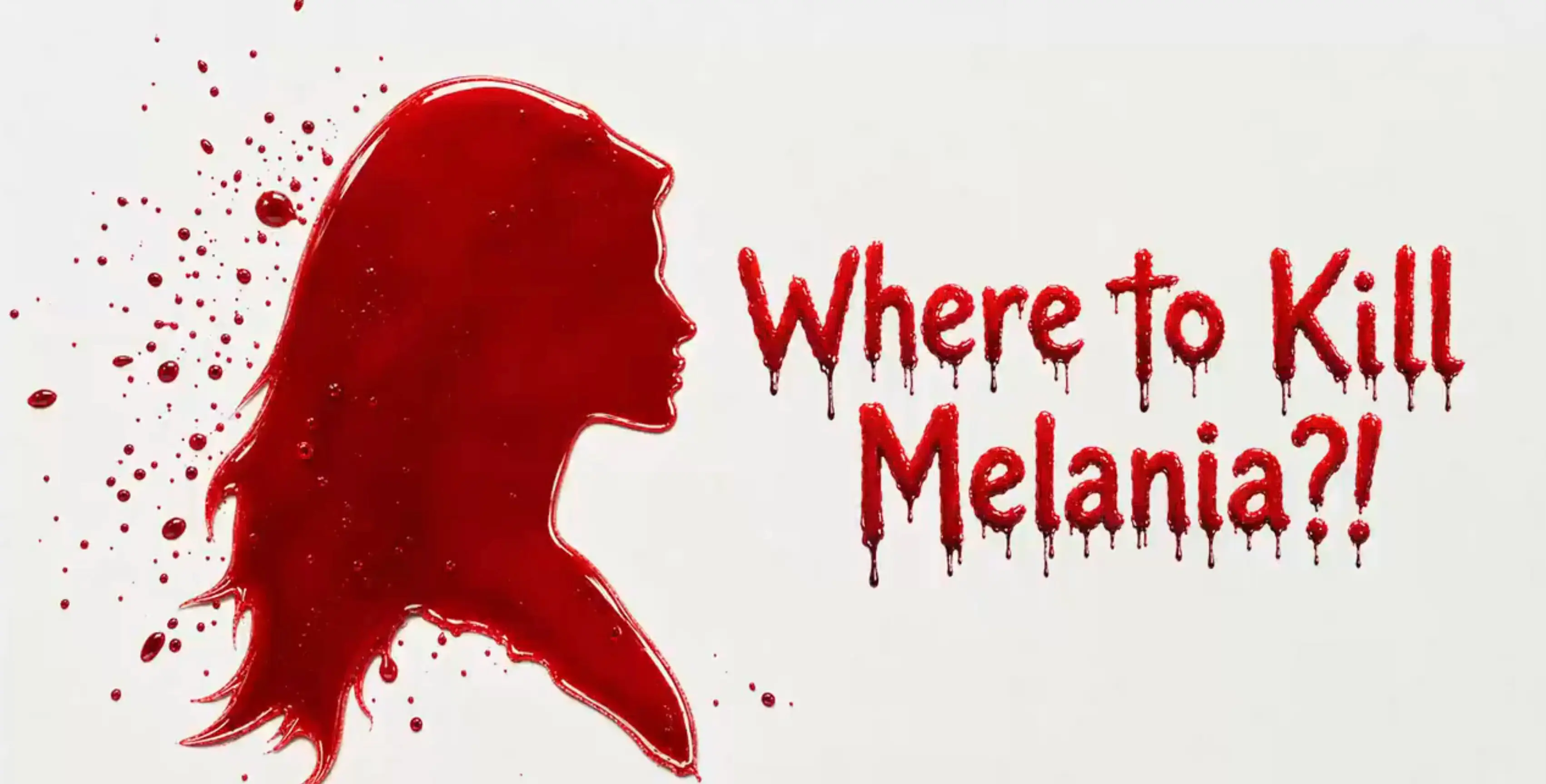 The chilling clip outlines potential ways to take out FLOTUS (Tasnim News Agency)