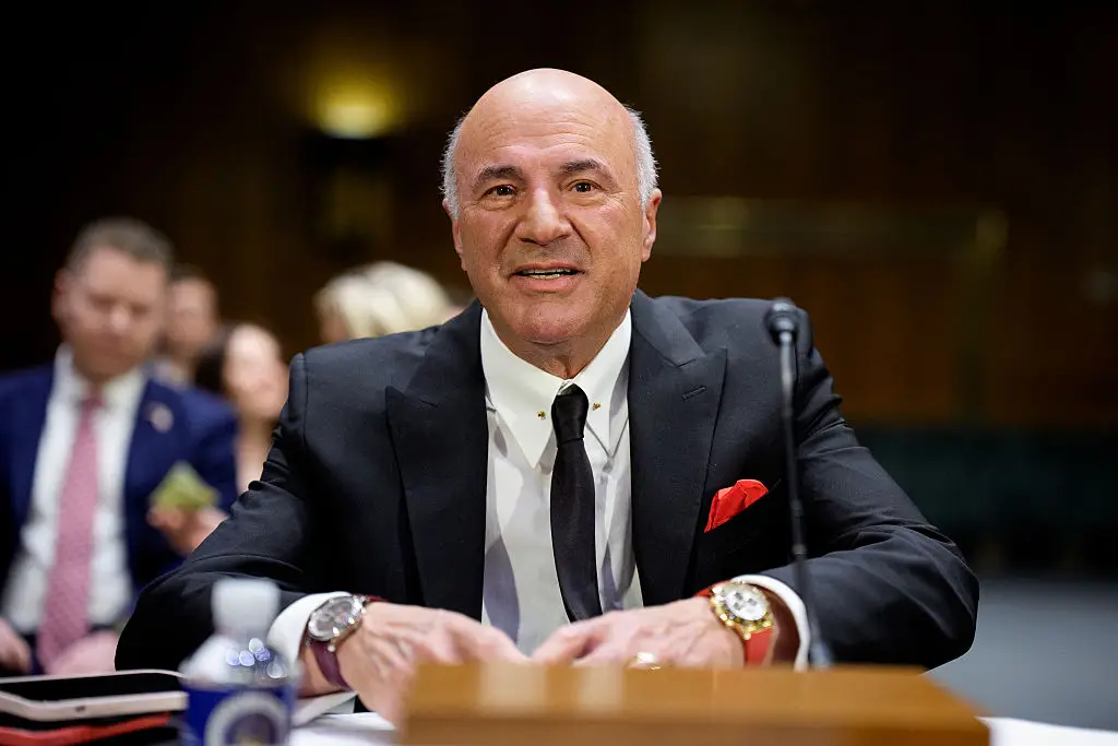 Kevin O'Leary went on to make millions of his own (Andrew Harnik/Getty Images)