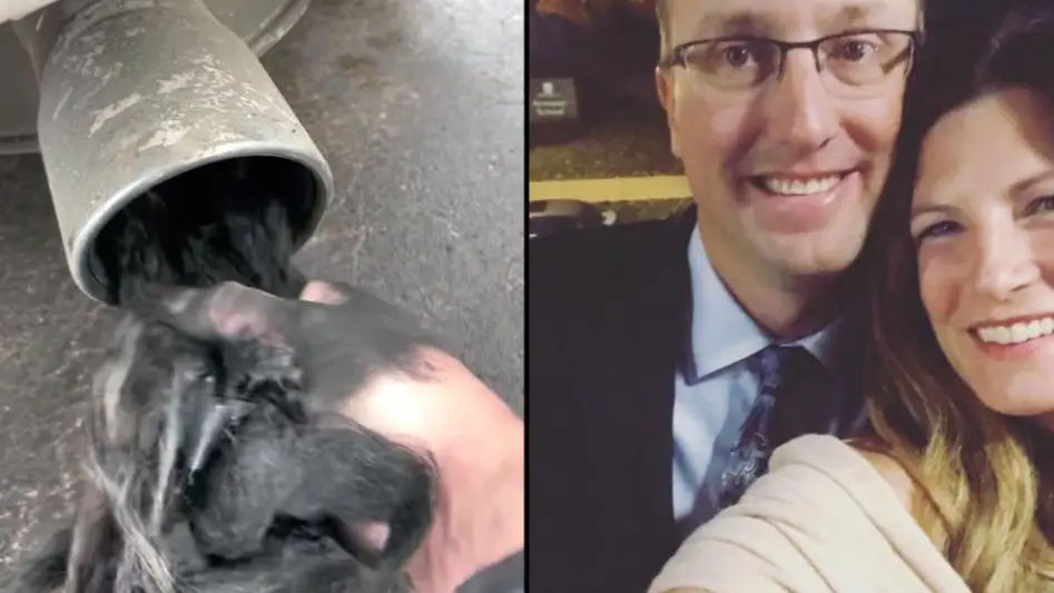 Couple Call Police After 'Human Hair' Seen Coming Out Of Their Car