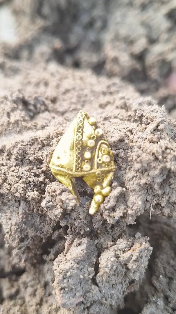 They found it while on a bonding trip. (Andrew Geoghegan)