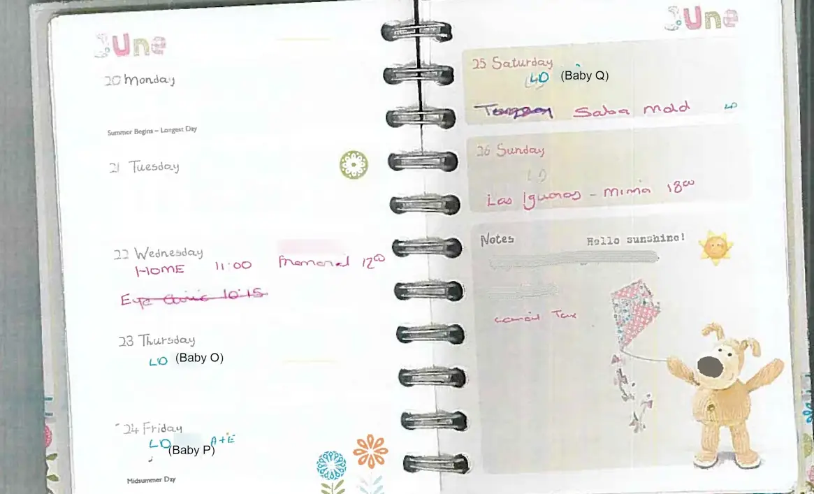 A code in Lucy Letby's diary helped police build a case against her.