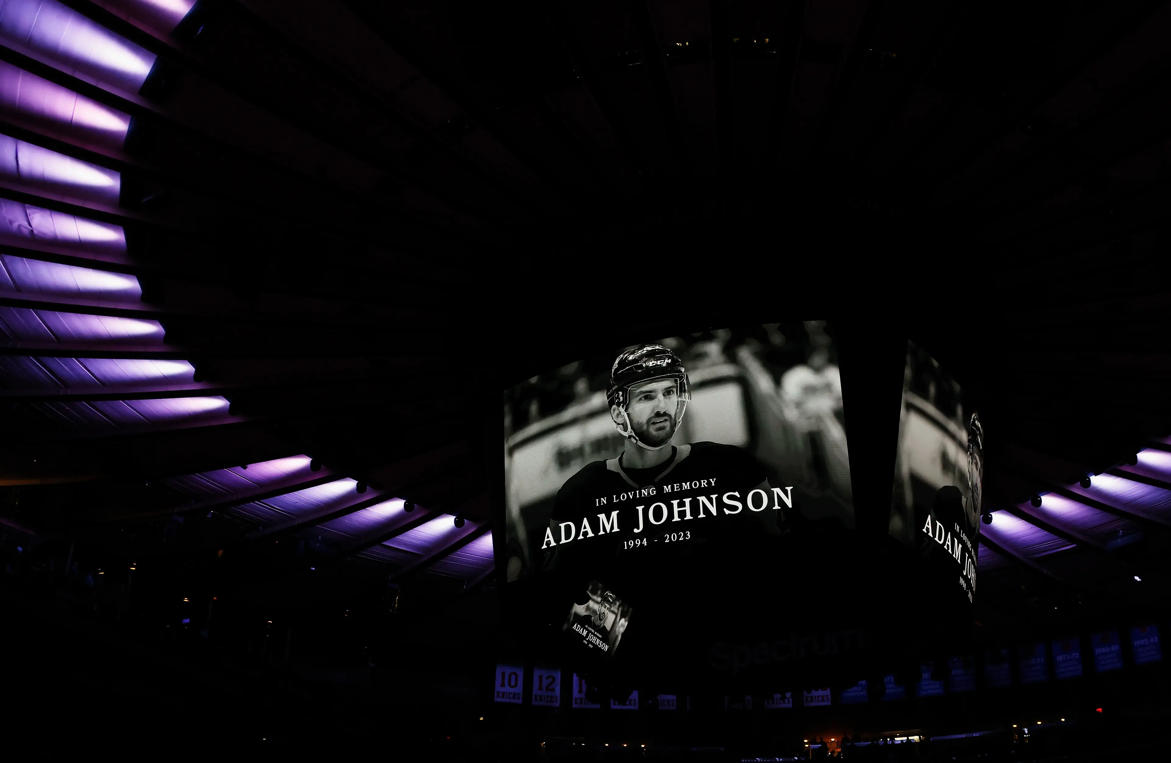 Sporting officials were urged to make neck guards mandatory in the wake of the tragedy.