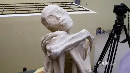 María is the most interesting of the corpses found. (Unearthing Nazca/Gaia/YouTube)