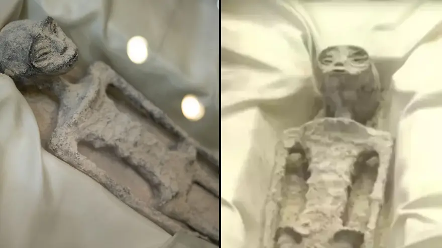 Daniel Cardenas/Anadolu Agency/Getty Images/ Canal del Congreso México