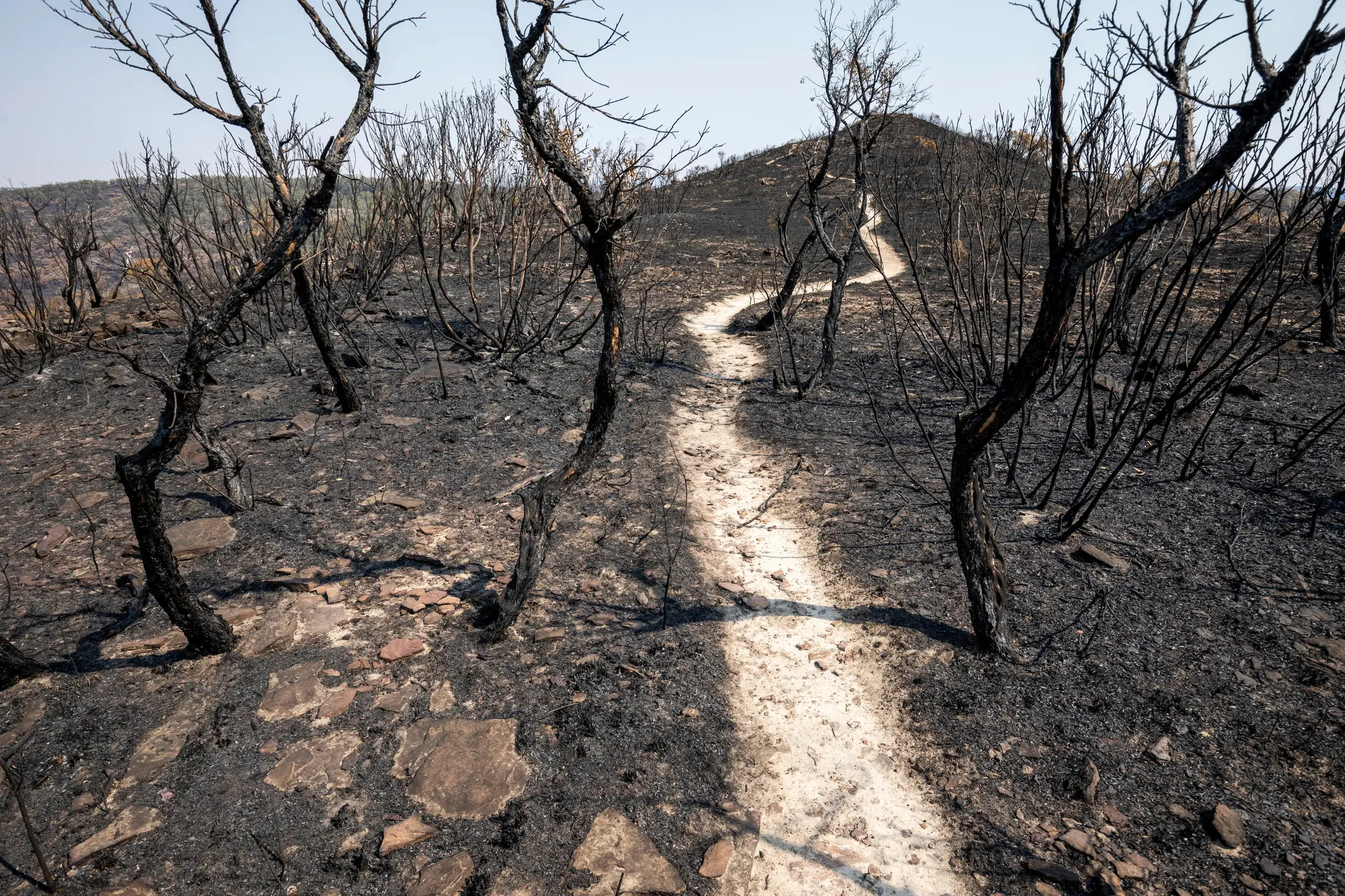 Scientists believe the effects of rapid warming could last for years to come (Getty Stock Images)