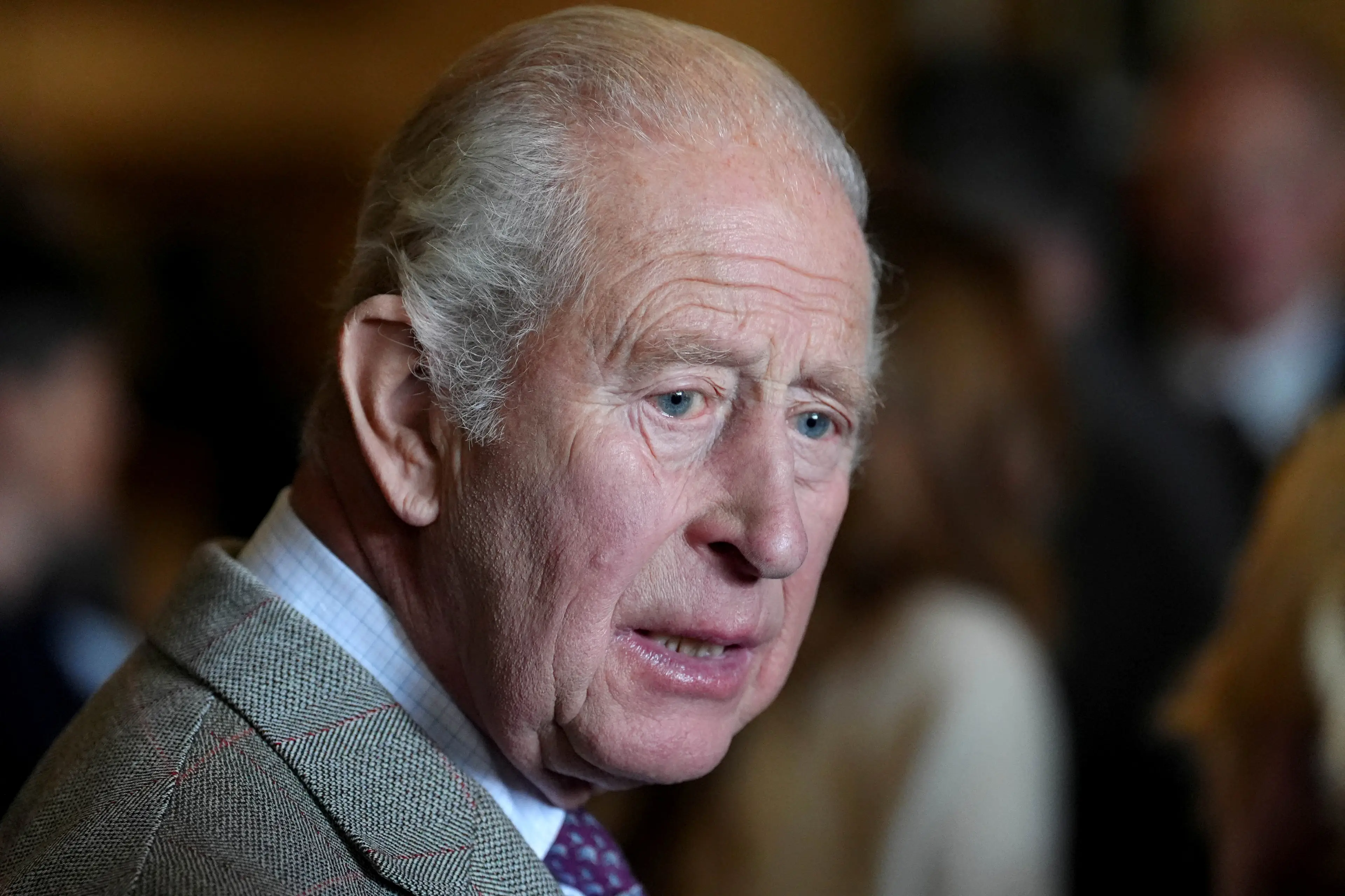 The King has legal immunity in the United Kingdom (Jonathan Brady / POOL / AFP via Getty Images)