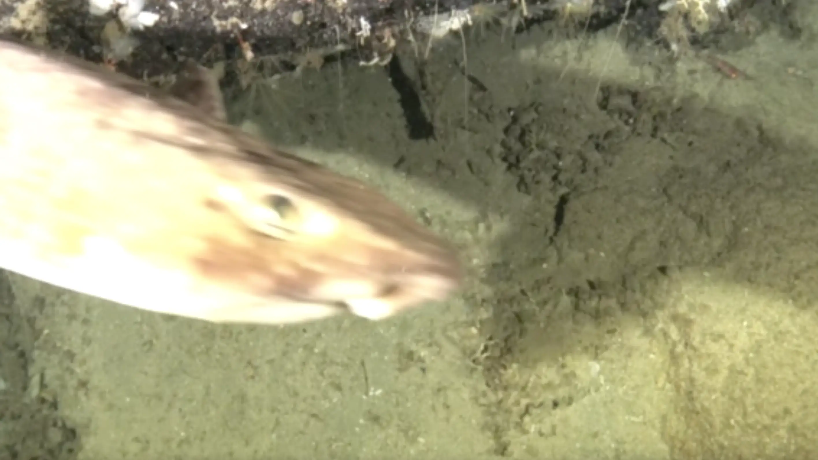 Louw Claassens | National Geographic Exploration Technology Lab