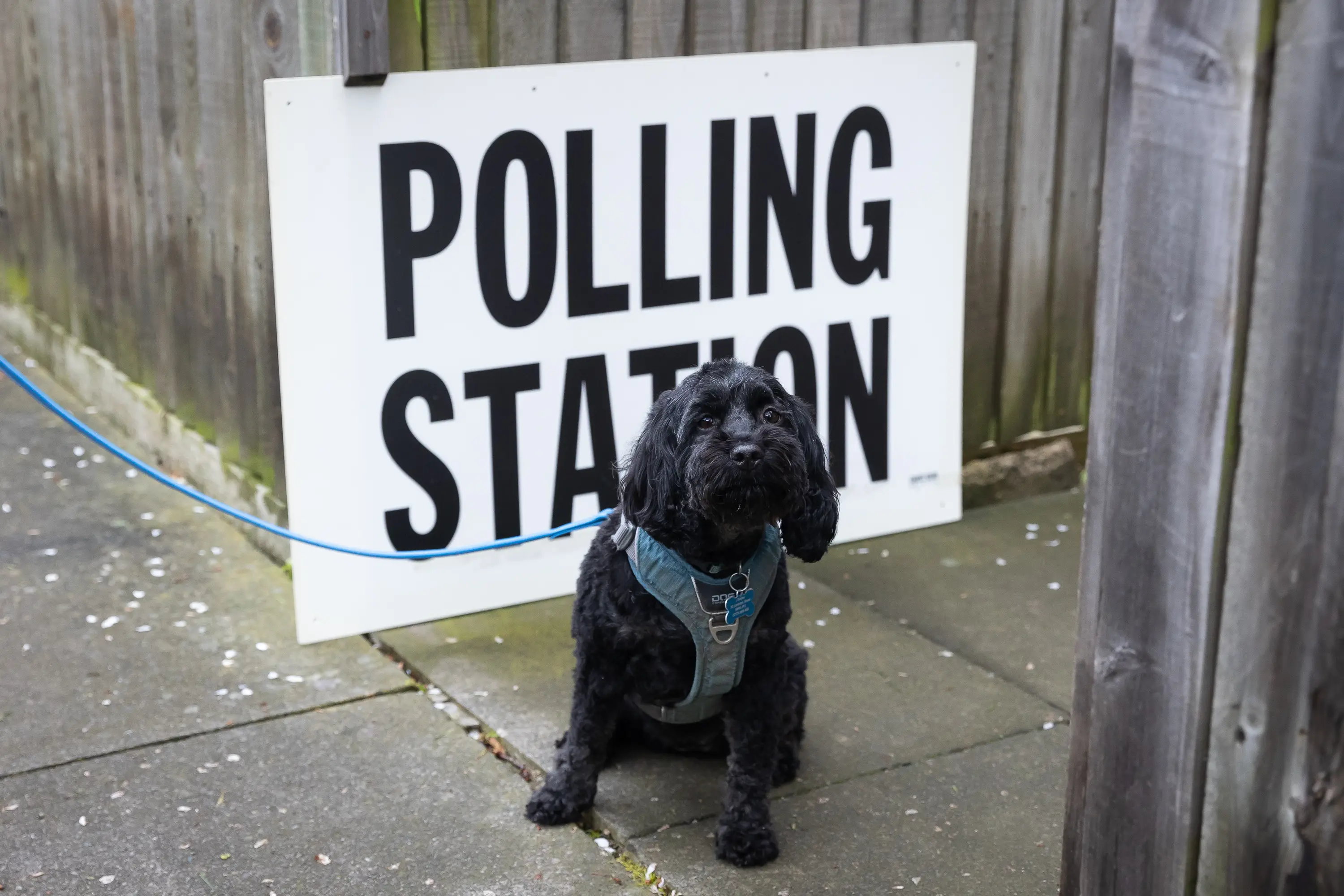You can bring your pets, but unless they're assistance dogs they'll have to wait outside. (Tejas Sandhu/SOPA Images/LightRocket via Getty Images)