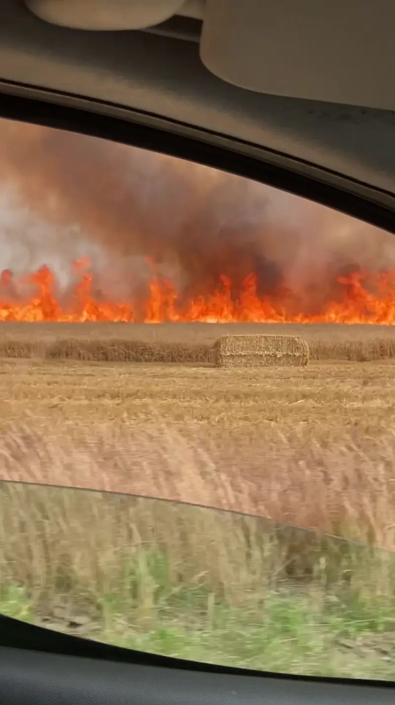 Jed said it was like an 'apocalyptic scene from a film'.