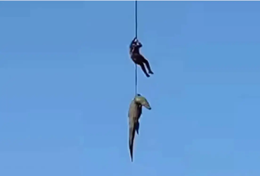 Incredible footage captured the police captain's valiant efforts (South African Police Service)