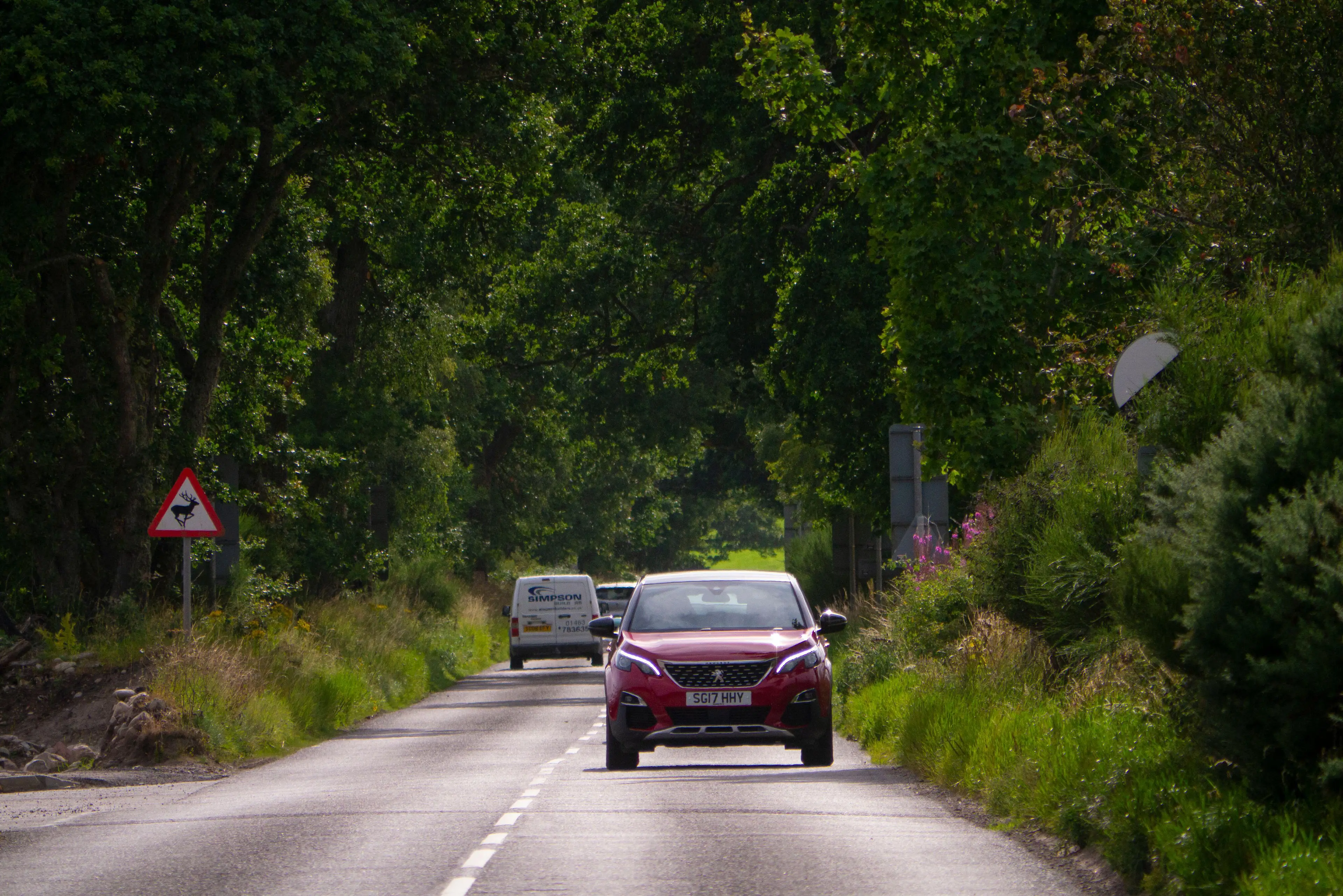 An FOI request revealed the number of UK drivers whose license expired recently.