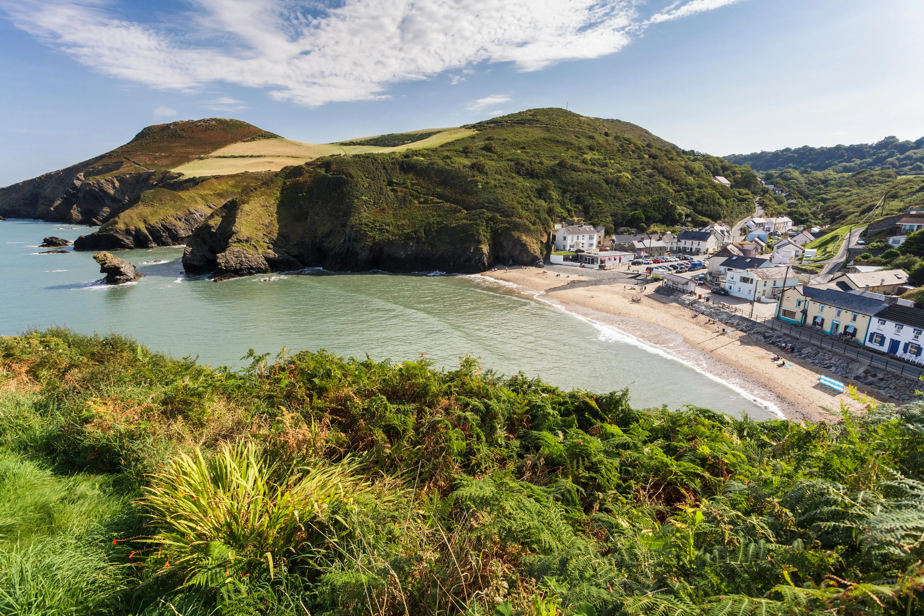 The fine was issued at a car park in Llangrannog in Wales.