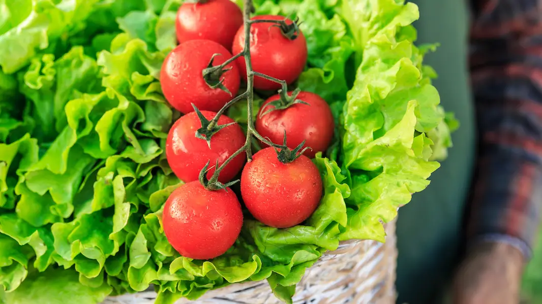 Getty/valentinarussov