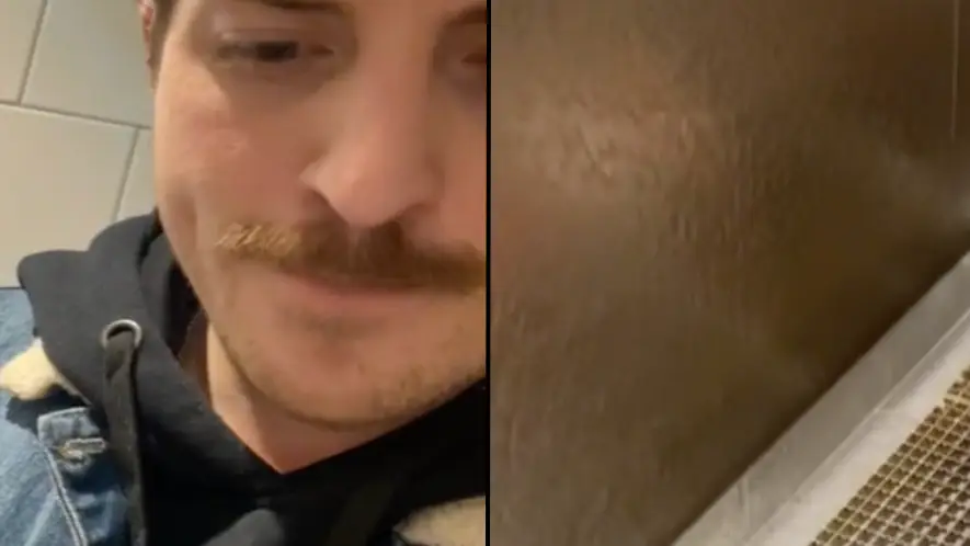 TikTok / @stephen_lessard