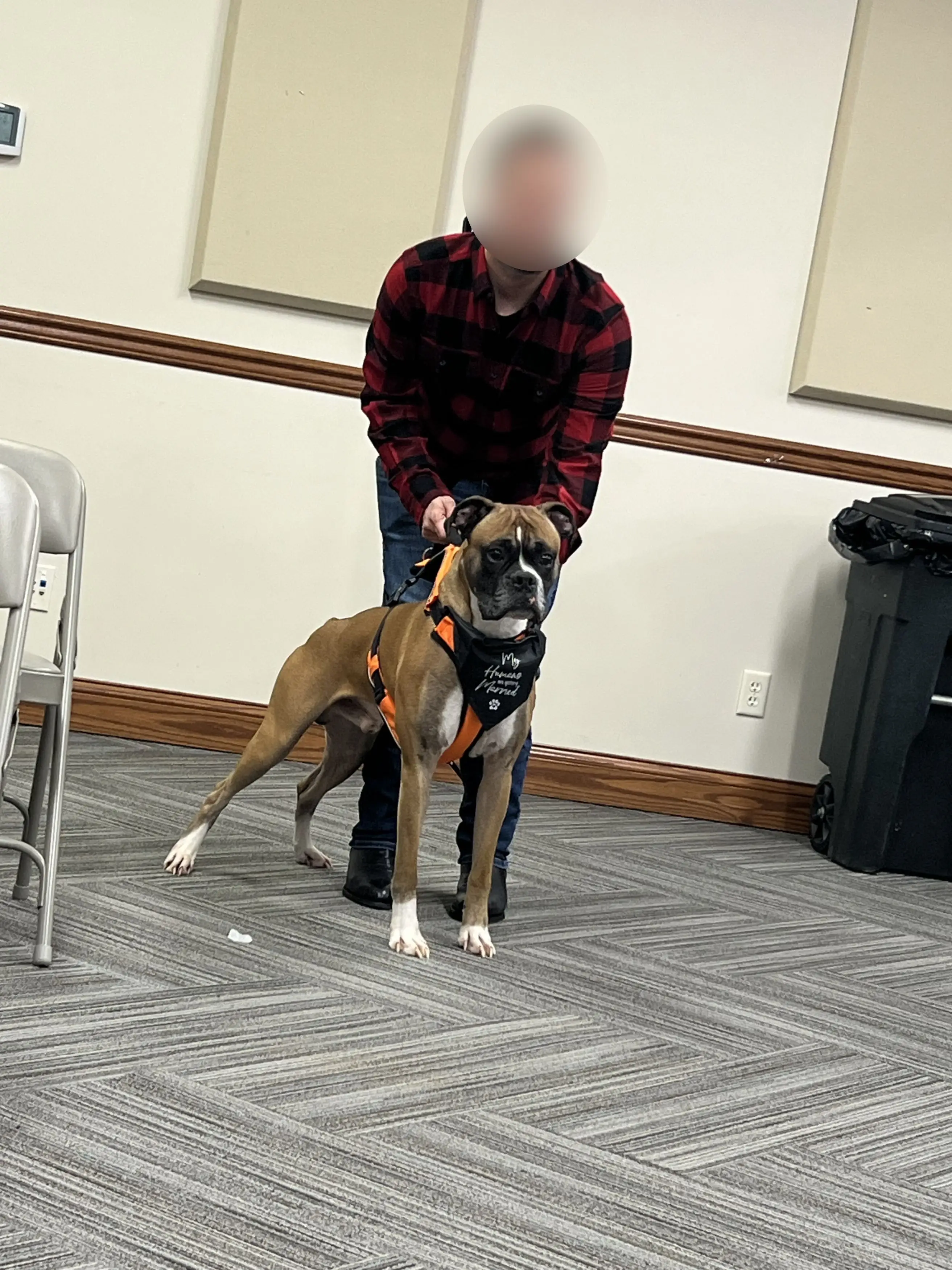 They had a dog bear the rings for them (Kennedy)