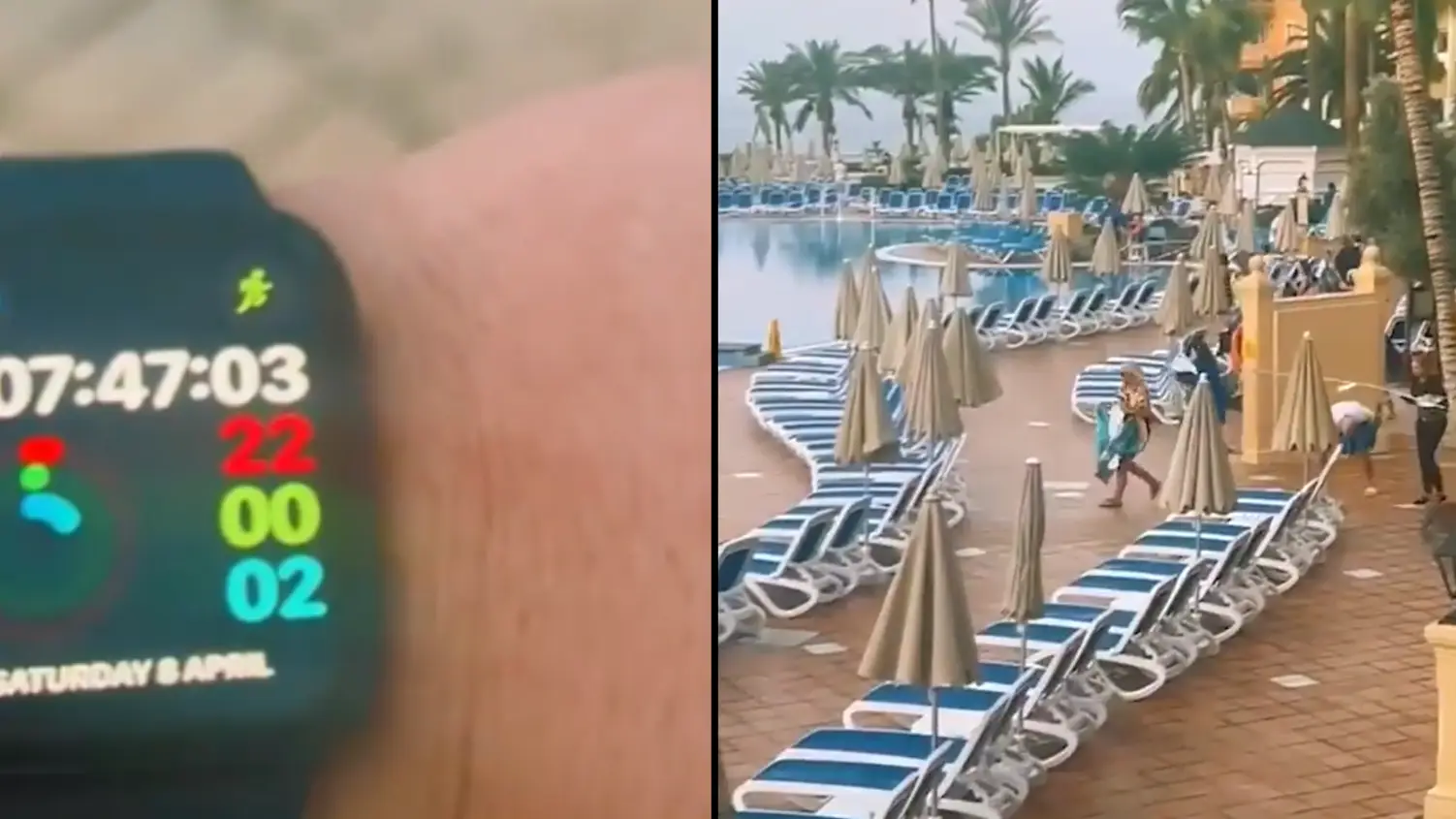 TikTok/@thomaswclifford