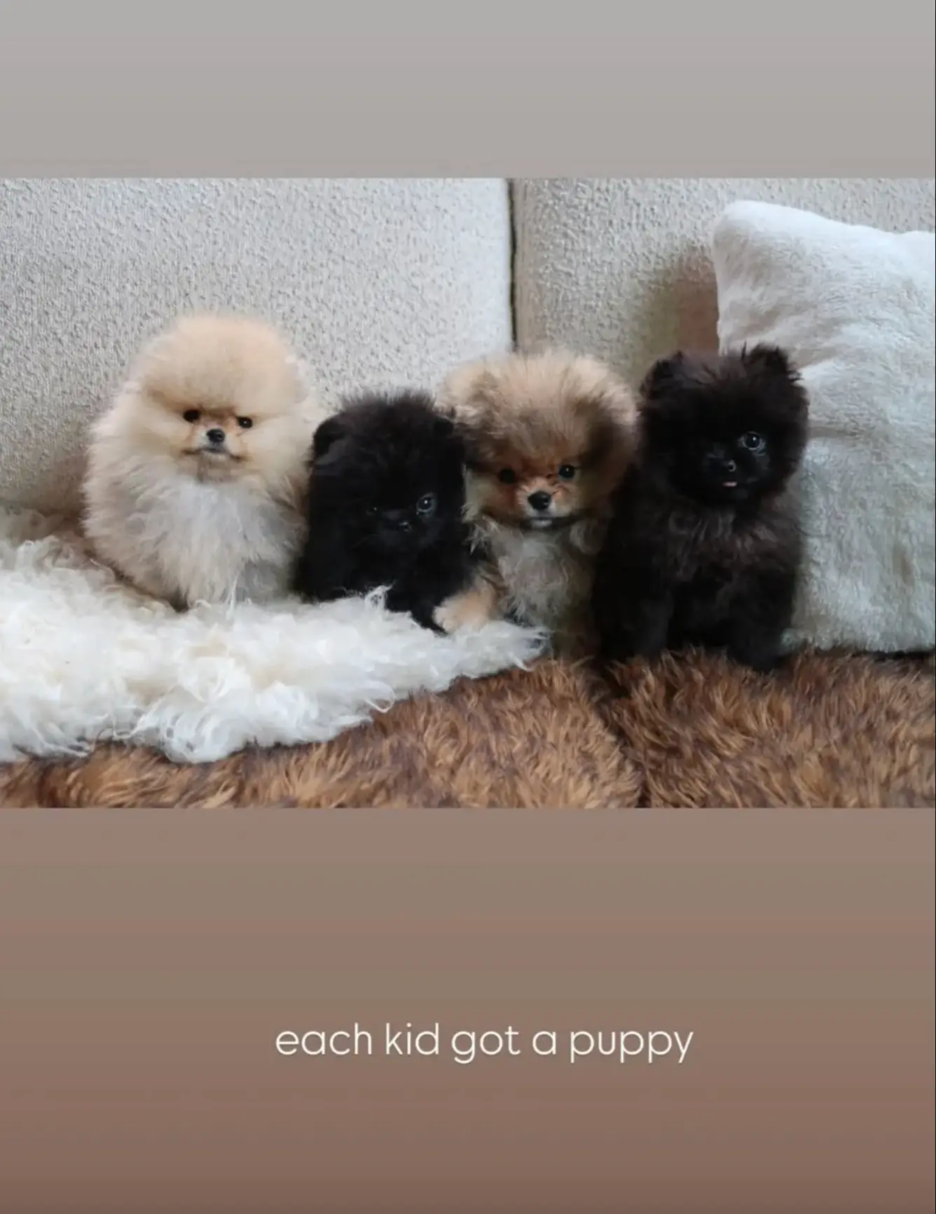 Kardashian showed off the latest additions to her family (Instagram/Kim Kardashian)