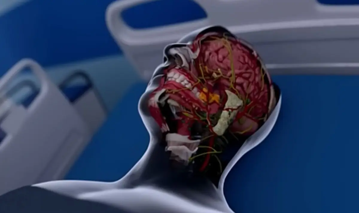 A simulation has outlined what happens to the brain in the moments after death (YouTube/hashemalghailiofficialchannel)