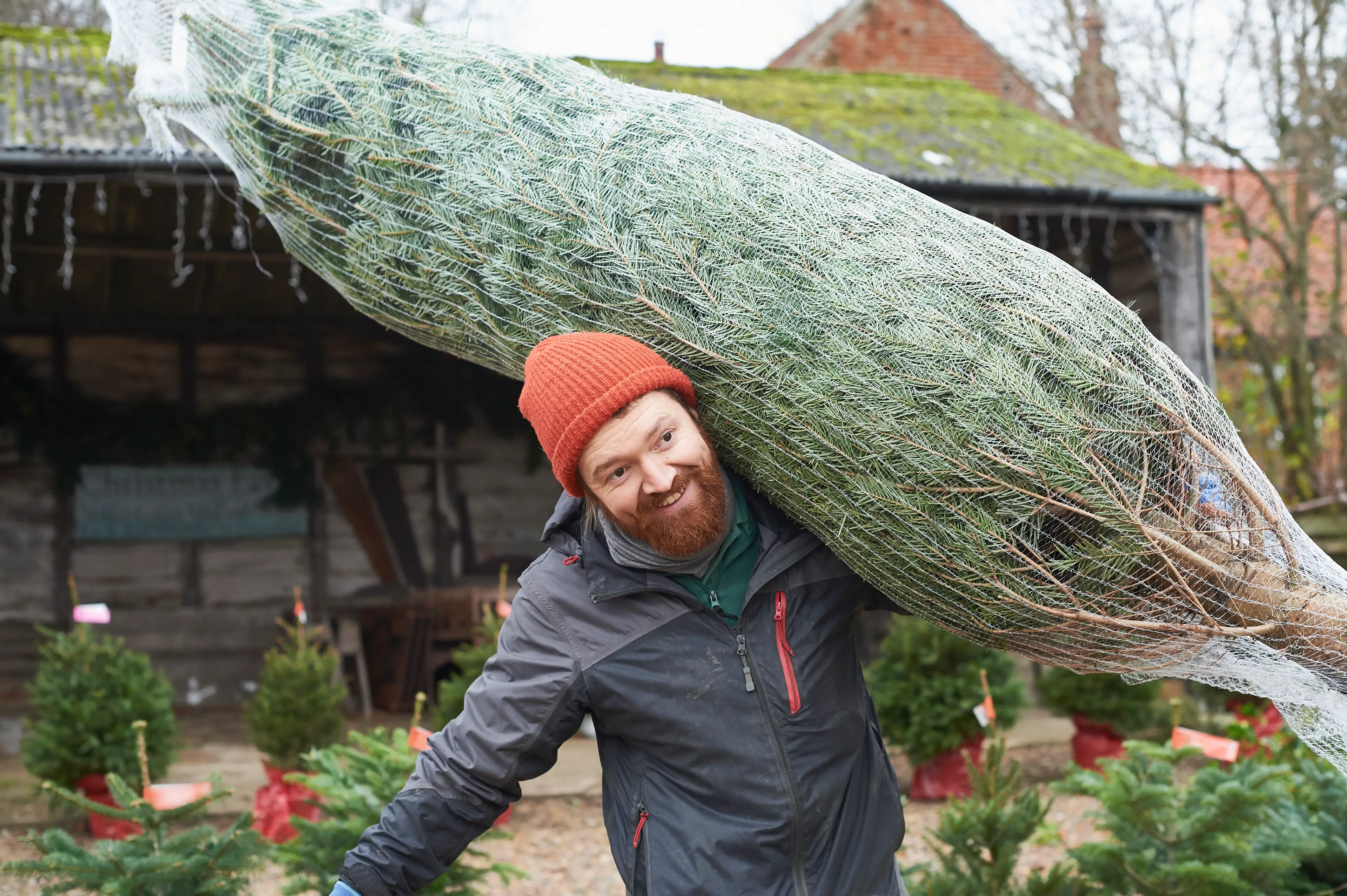 "Time to take the tree home, then we crack out the avocado toast bauble." (Getty Stock Photo)