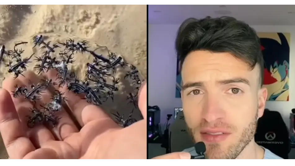 Instagram/@doctorfayez