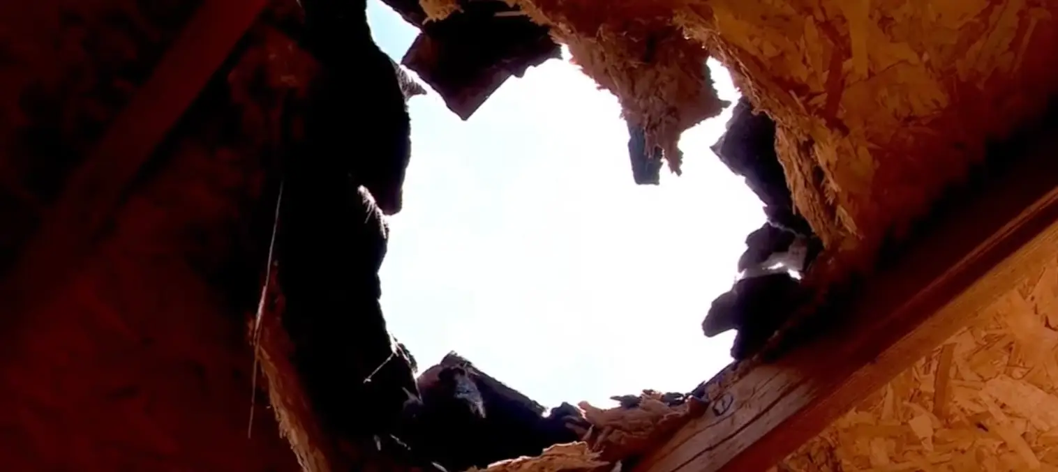 Her beloved pet goat sadly passed away following the incident. (KUTV 2News)