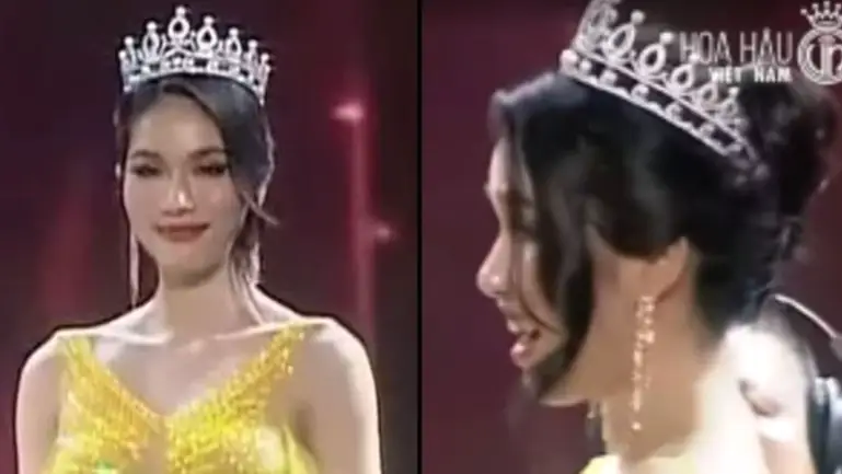 Sen Vàng Tivi/Twitter