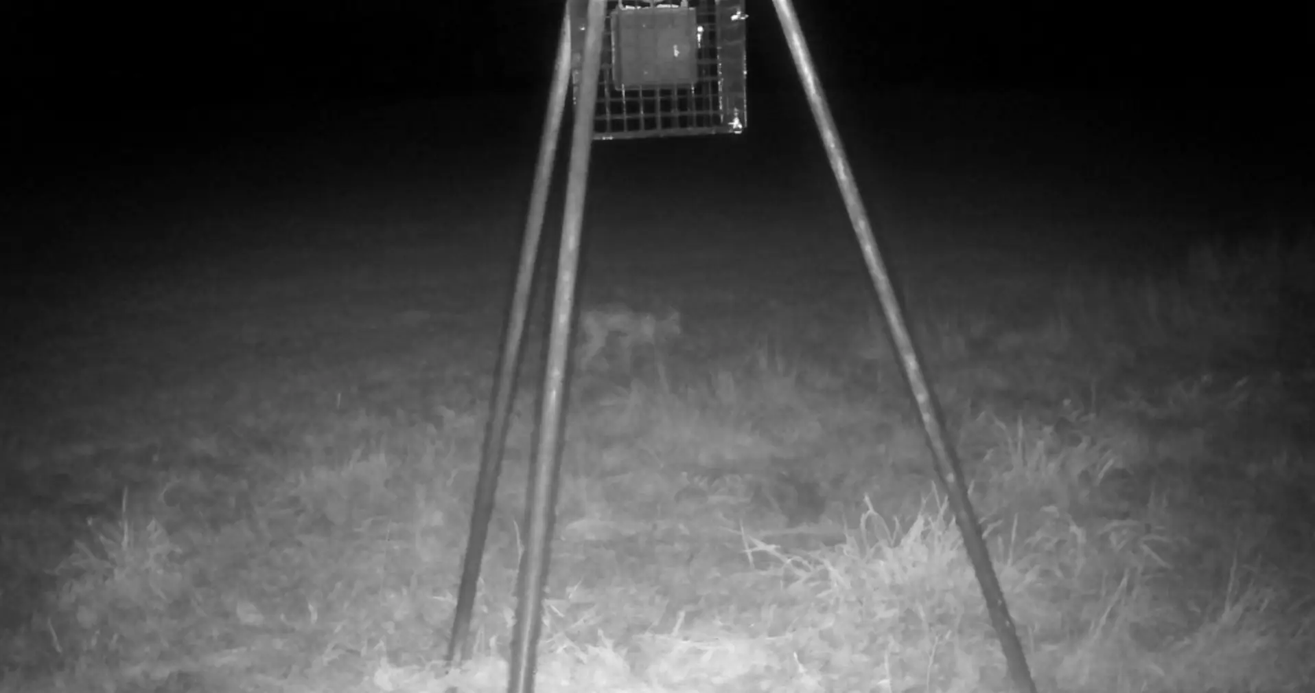 Take a look at this picture, do you see it? (Michael Demel / Pen News)