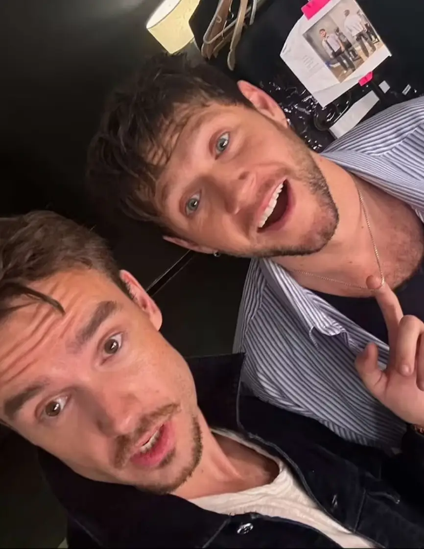 Payne also posted a photo of himself with Horan from the night b(Snapchat)