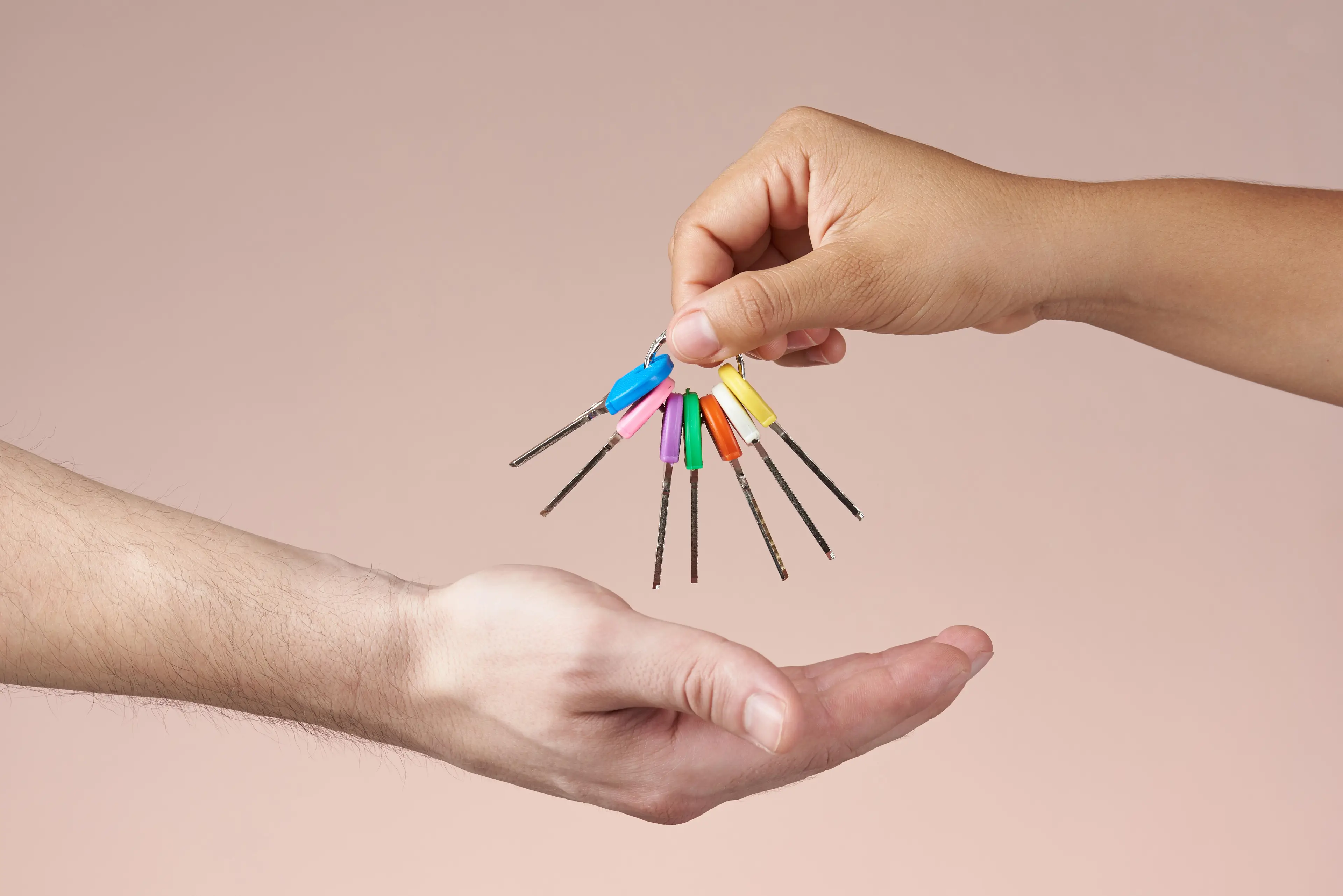 The plans were included in the Conservative Party's manifesto in 2019.