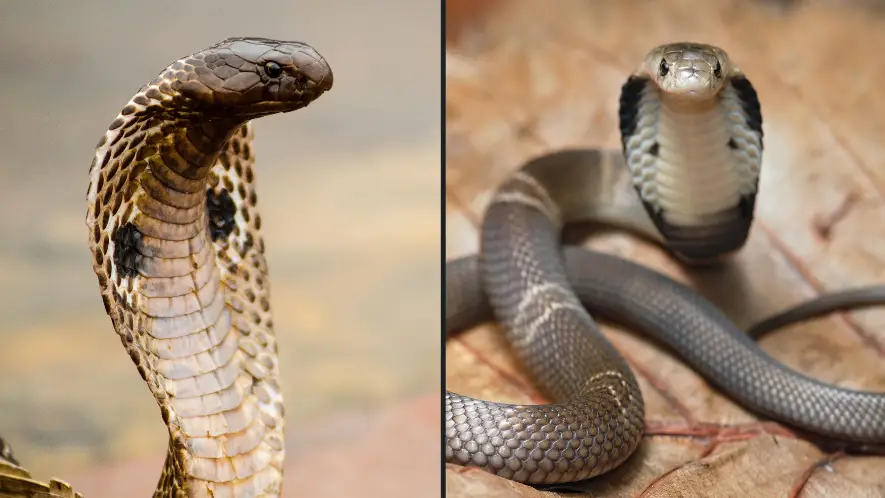 Danilo Gitto / Alamy Stock Photo. Sam Yue / Alamy Stock Photo