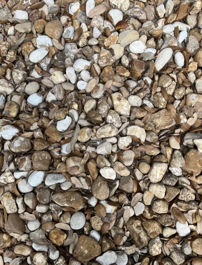 “I suck at this.” (Reddit/@raedcabello)