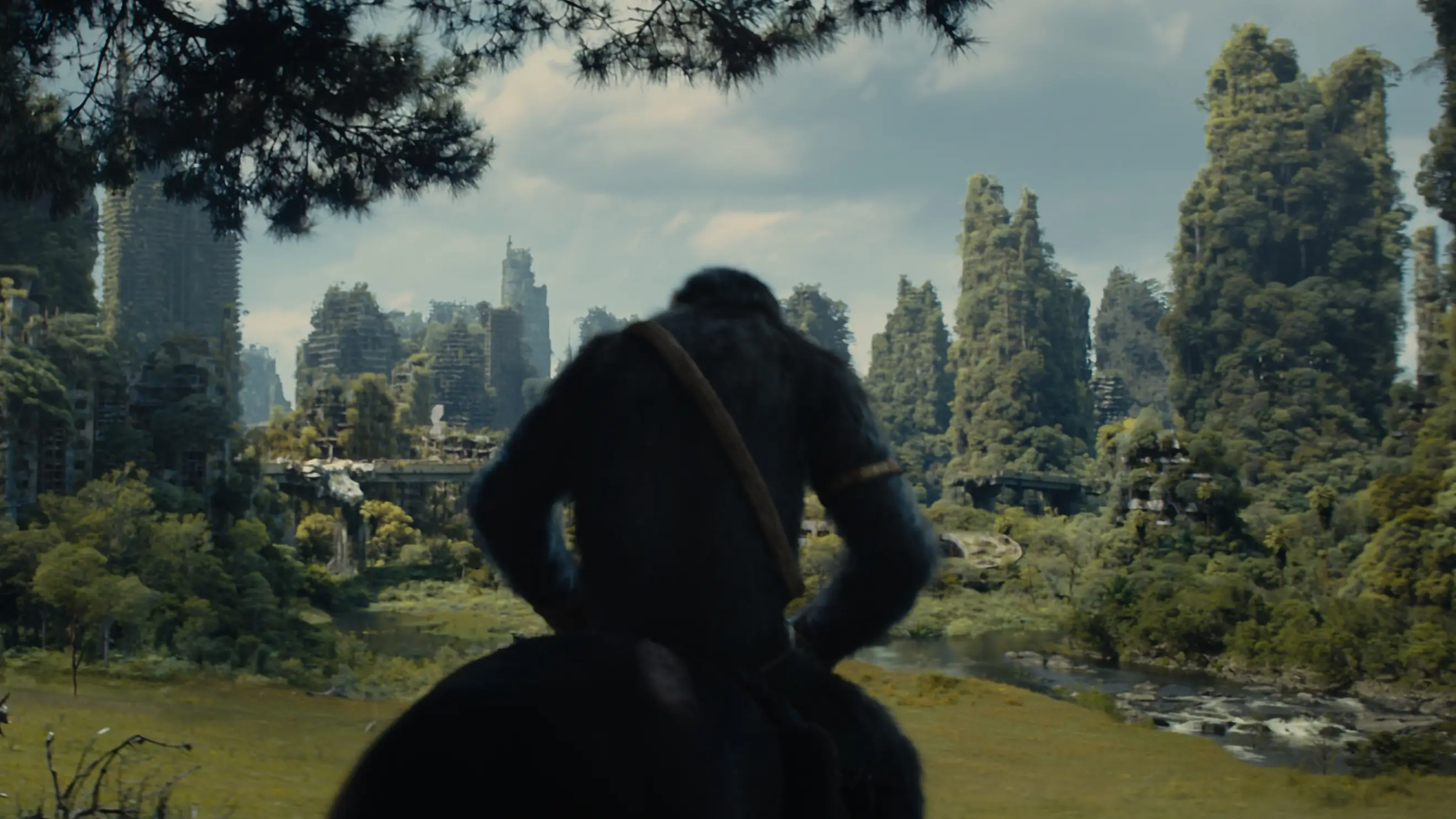 Kingdom of the Planet of the Apes