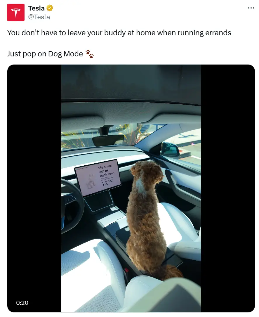 Tesla have promoted 'Dog' mode on their cars (X)