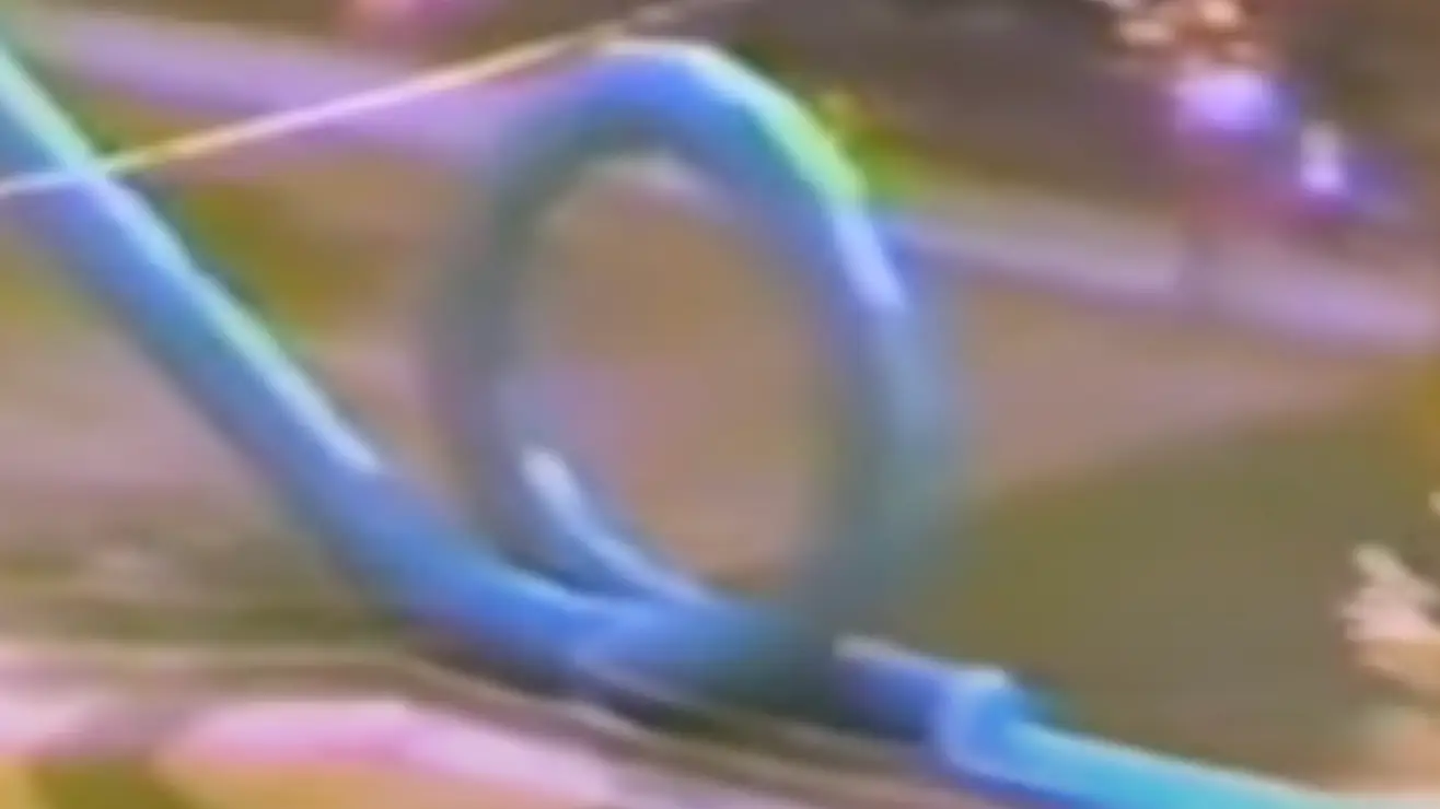 Infamous 'Cannonball Loop' ride at world's most dangerous theme park where multiple people died 