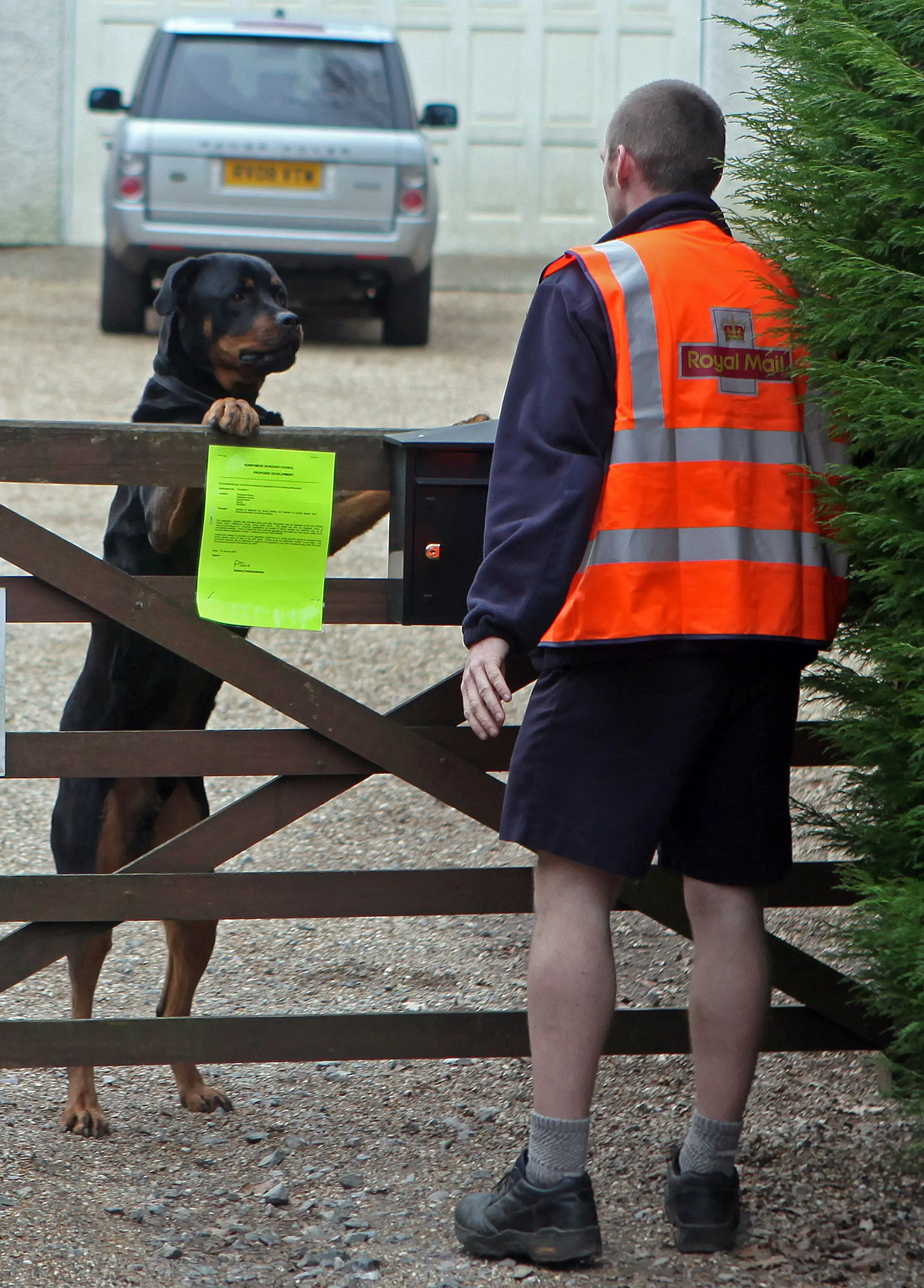 Not every dog might be okay with posties, and vice versa. (Simon Dawson/Bloomberg via Getty Images)