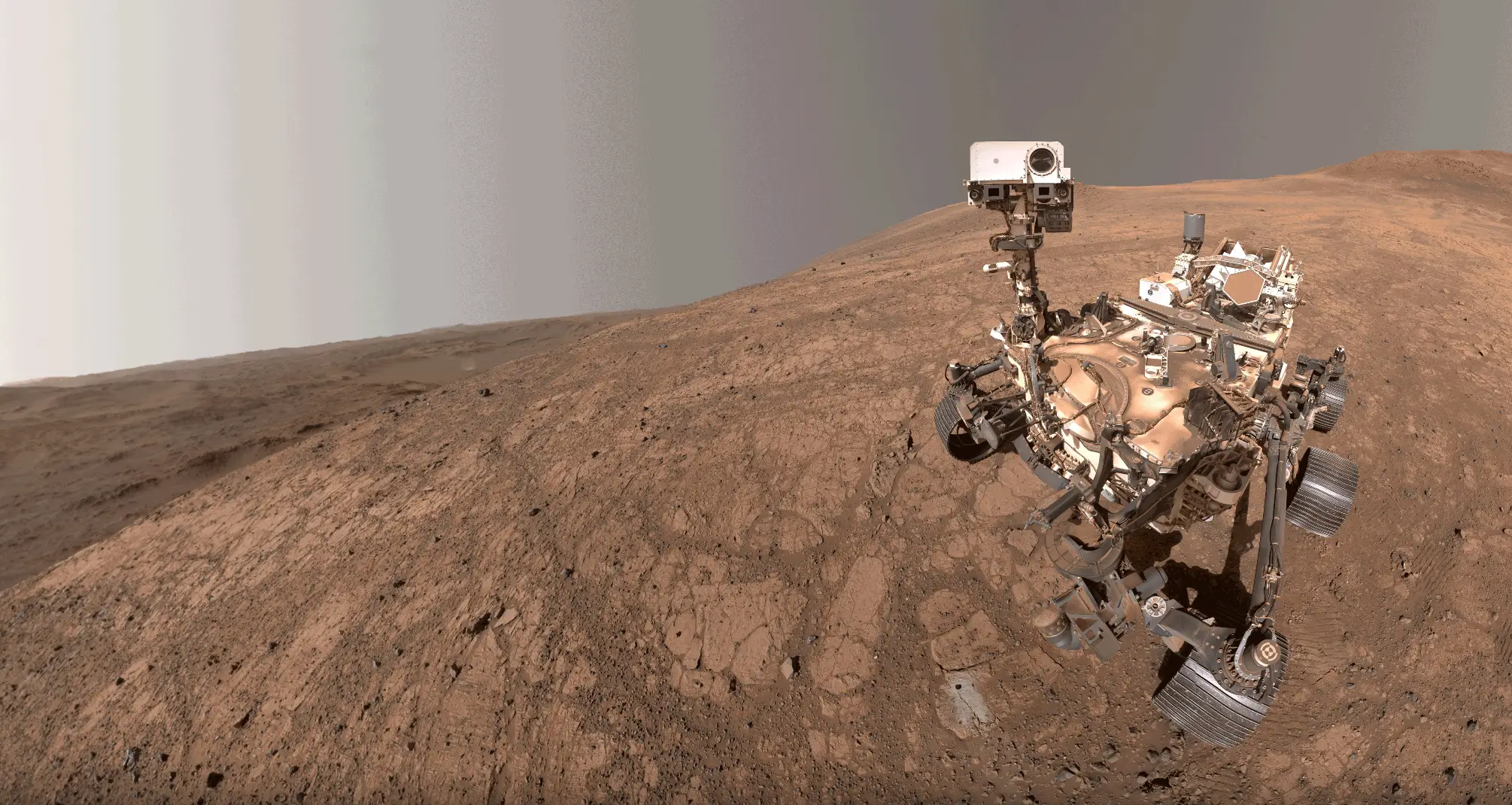 Samples might need to be dumped to make room for new discoveries (NASA/JPL-Caltech/MSSS)